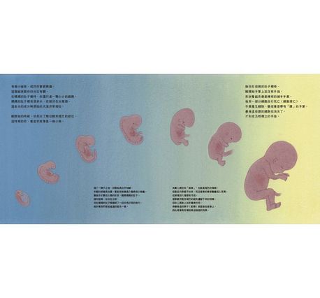 骨之旅：從海洋到陸地，看見人類與萬物的演化關係